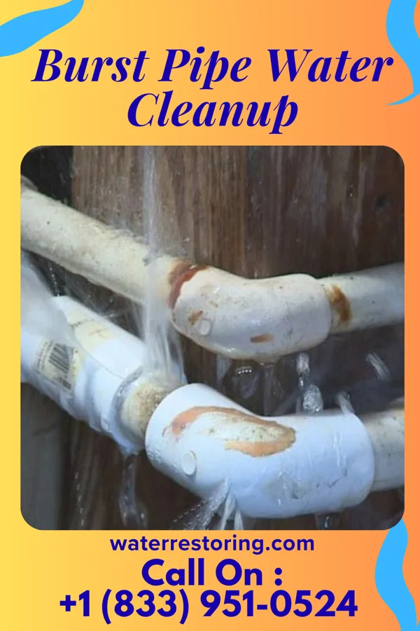 Burst Pipe Water Cleanup in Loretto, PA