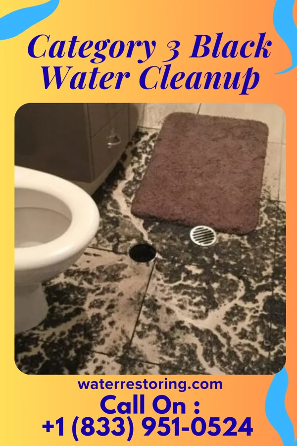 Category 3 Black Water Cleanup in Loretto, PA