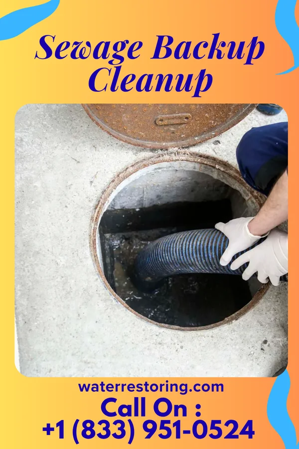 Sewage Backup Cleanup in Loretto, PA