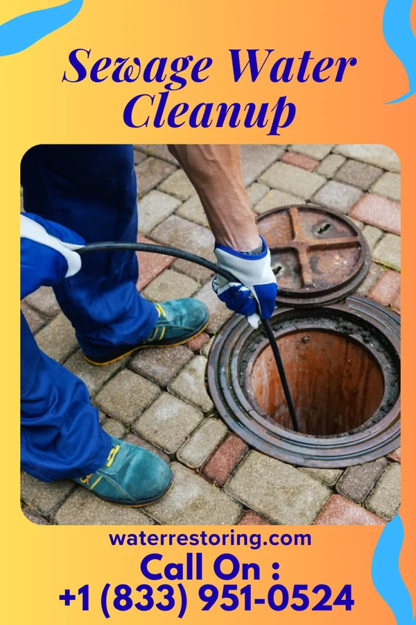 Sewage Water Cleanup in Loretto, PA