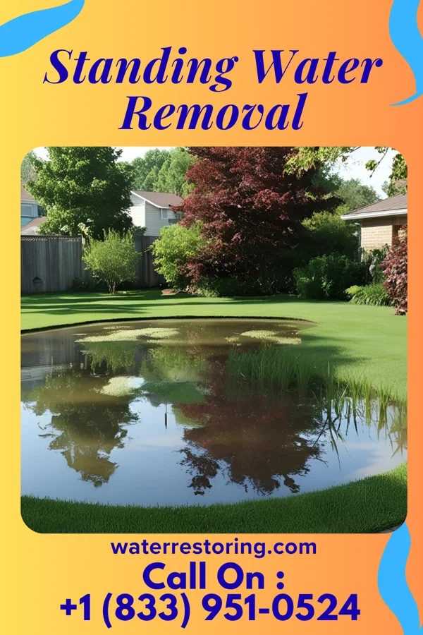 Standing Water Removal in Loretto, PA